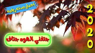 الفنان قاسم الاسمر ~ اغنيه جتفني الهوه جتاف ?