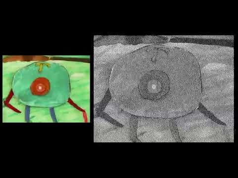 Demonstration of Floyd-Steinberg dithering in animation