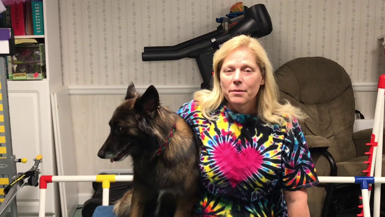 Handling360 First Trial