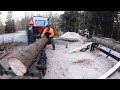 New system loading logs on to the sawmill !