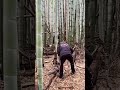 食べ物には命がかかっている、それを味わいもせず、心を向けもせず、口に入れるのは、、殺生の中でも最大の空虚な殺生である。