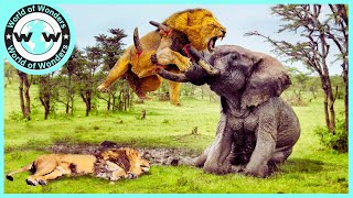 WATCH the CRAZIEST Animal Fights of all time, 2023!