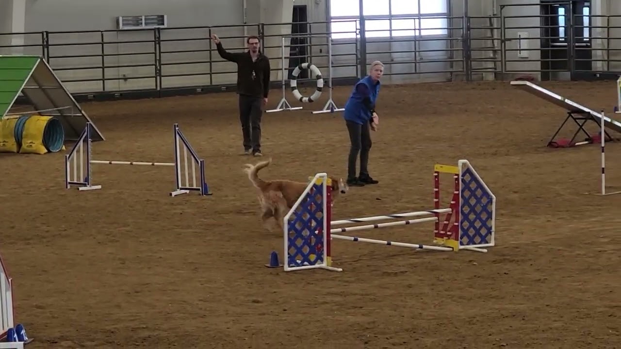 Mickie std lpdtc 2/22/26