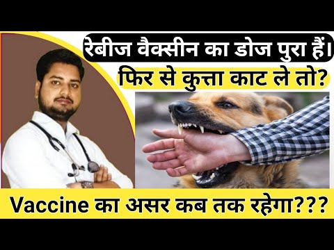 रेबीज इंजेक्शन लगने के बाद फिर से कुत्ता काट ले तो दोबारा इंजेक्शन लेना होगा क्या? वैक्सीन का असर ?