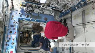 Tracy C. Dyson Powers Space Station Research
NASA astronaut Tracy C. Dyson is returning home after a six-month mission aboard the International Space Station. While on orbit, Dyson conducted an array of experiments and technology demonstrations that contribute to advancements for humanity on Earth and the agency’s trajectory to the Moon and Mars.
Here is a look at some of the science Dyson conducted during her mission: https://go.nasa.gov/4euV5kt
Credit NASA Johnson
#ISS #Astronauts #NASA Tracy C. Dyson Powers Space Station Research