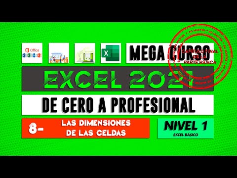 Las dimensiones de las celdas - CURSO EXCEL 2021 - Capítulo 8