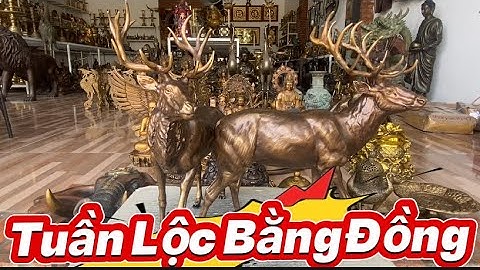 Cặp tuần lọc bằng đồng _ Đầu voi bằng đồng _ Đại bàng bằng đồng. Ngày 6/8 #độclạcầnthơ #doco 