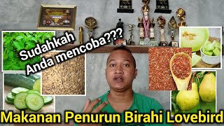 MAKANAN PENURUN BIRAHI LOVEBIRD