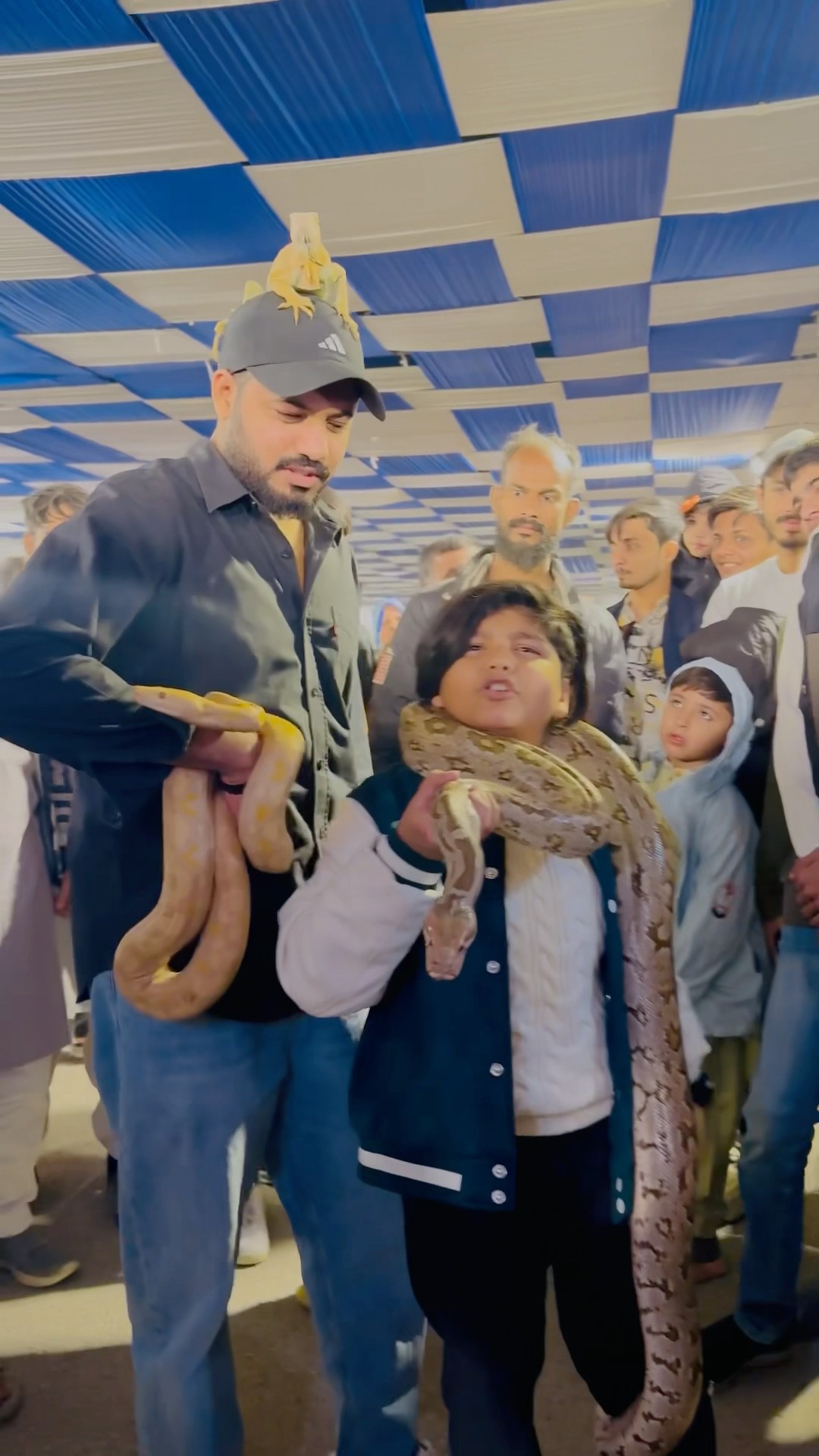 Ali bhai snake ? || #viralvideo #trending #foryou #foryoupage