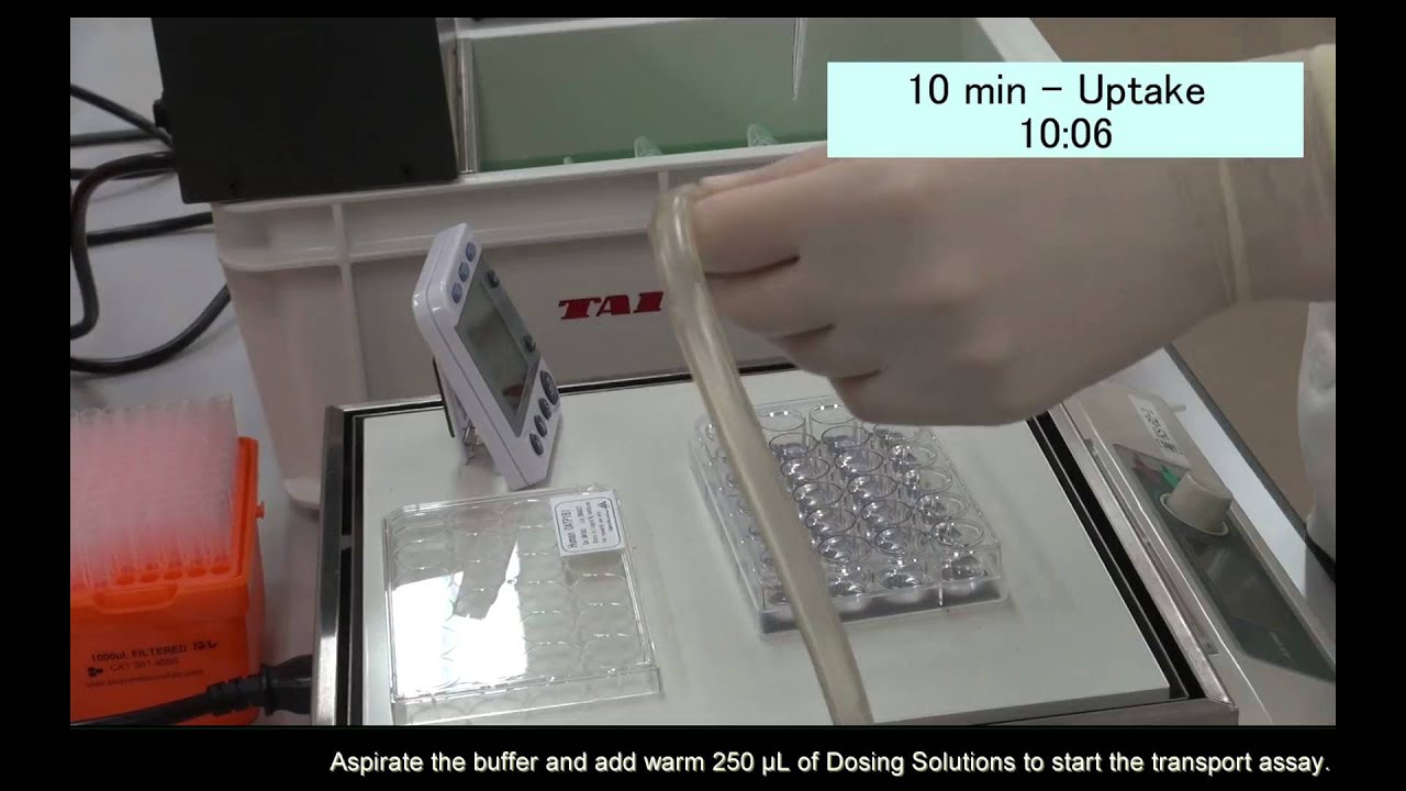 Cell Based Assay Procedures