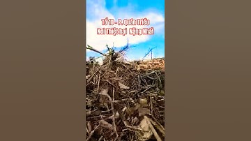 Đây là nơi nước lũ đã hô biến tất cả tài sản của dân thành đống rác..
