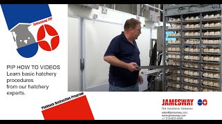 Pip Ht 12 Transfer From Setter To Hatcher