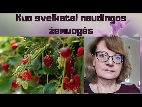 Video: Kaip sintetinamas peptidoglikanas?