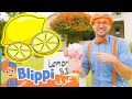حلقة بليبي يصنع كشك ليموناضة بلبي بالعربي كرتون اطفال وأغاني بليبي 