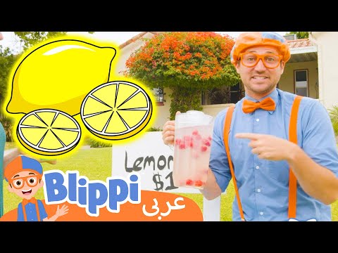 حلقة بليبي يصنع كشك ليموناضة بلبي بالعربي كرتون اطفال وأغاني بليبي
