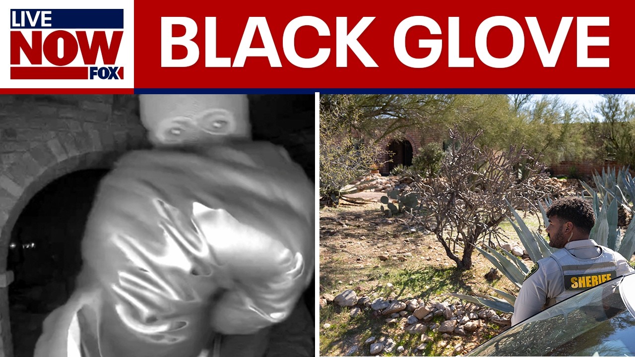 Black glove found near Nancy Guthrie's home, report says