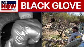 Download Lagu Black glove found near Nancy Guthrie's home, reports say MP3