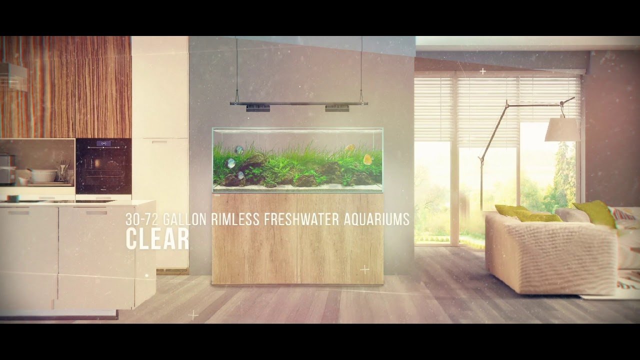 freshwater book New Freshwater Aquariums from Waterbox