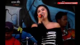 full album king star stel kalem