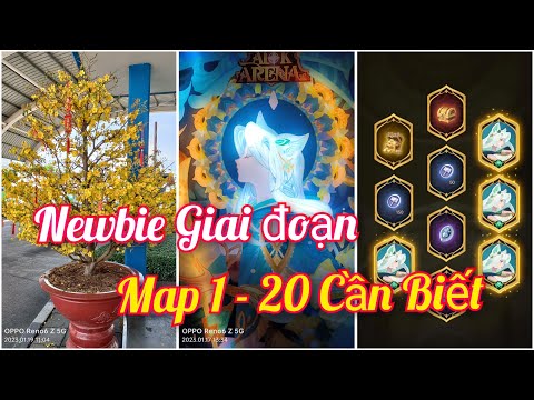 Video Afk Arena | Tổng hợp những lưu ý Newbies cần biết khi... - youtube
