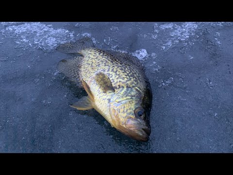 2002 Jan 09/2020 – This week we start by tagging along on a couple great elk hunts! We also have our first ice fishing segment of the year as well as a little last day deer hunt.