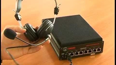 DRUID 06 Speech protection system