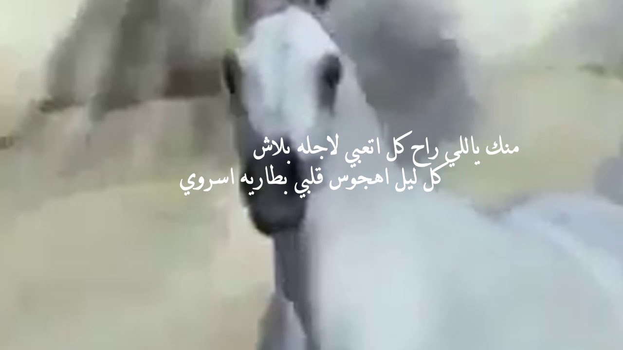 الجمال الاولوي كلمات الشاعر: عبدالله بن عون  أداء نياف تركي.