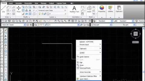 AutoCAD 2D - Mouse Button Functions & Configuration