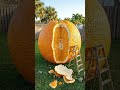 I Turned an Orange Into a Cozy Room 🍊😳 #shorts #gaint #orange #timelapse #satisfying