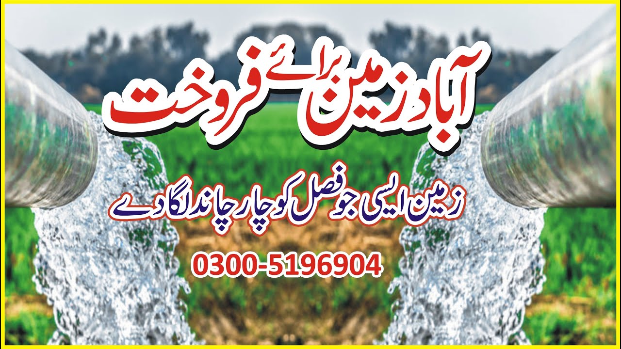 Land For Sale 36 Acre Agriculture Land For Sale Farms Land in