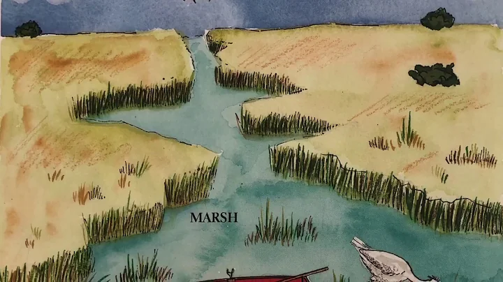 Marshes & Swamps by Gail Gibbons