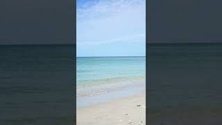 World Ocean Day