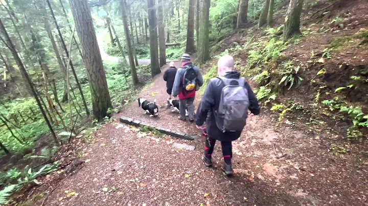 Glencoe Lochan Summit: Jeanette Russell AlterG-tre...