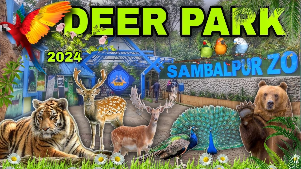 Deer Park Sambalpur 2024 || Sambalpur deer Park || Sambalpur Zoo || Odisha || CHINMAYA VLOG ||