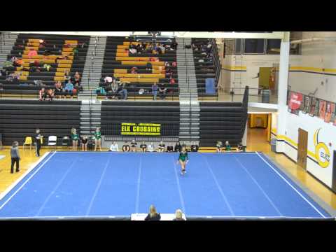 DSC_0032.MOV