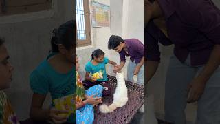 Olly को नहीं दिया 🤣😸 #cat #vlog #minivlog #ashortaday