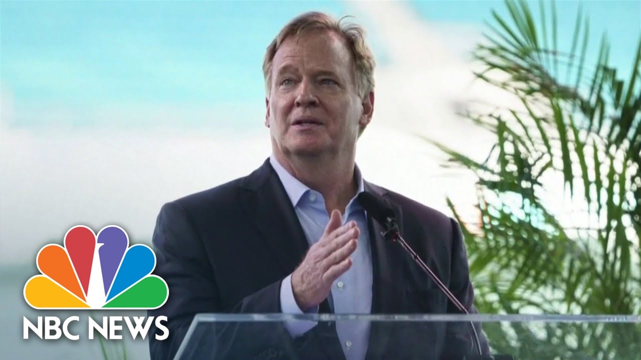 Goodell Cannot Just Remove Dan Snyder As Commanders Owner, Says Hobson