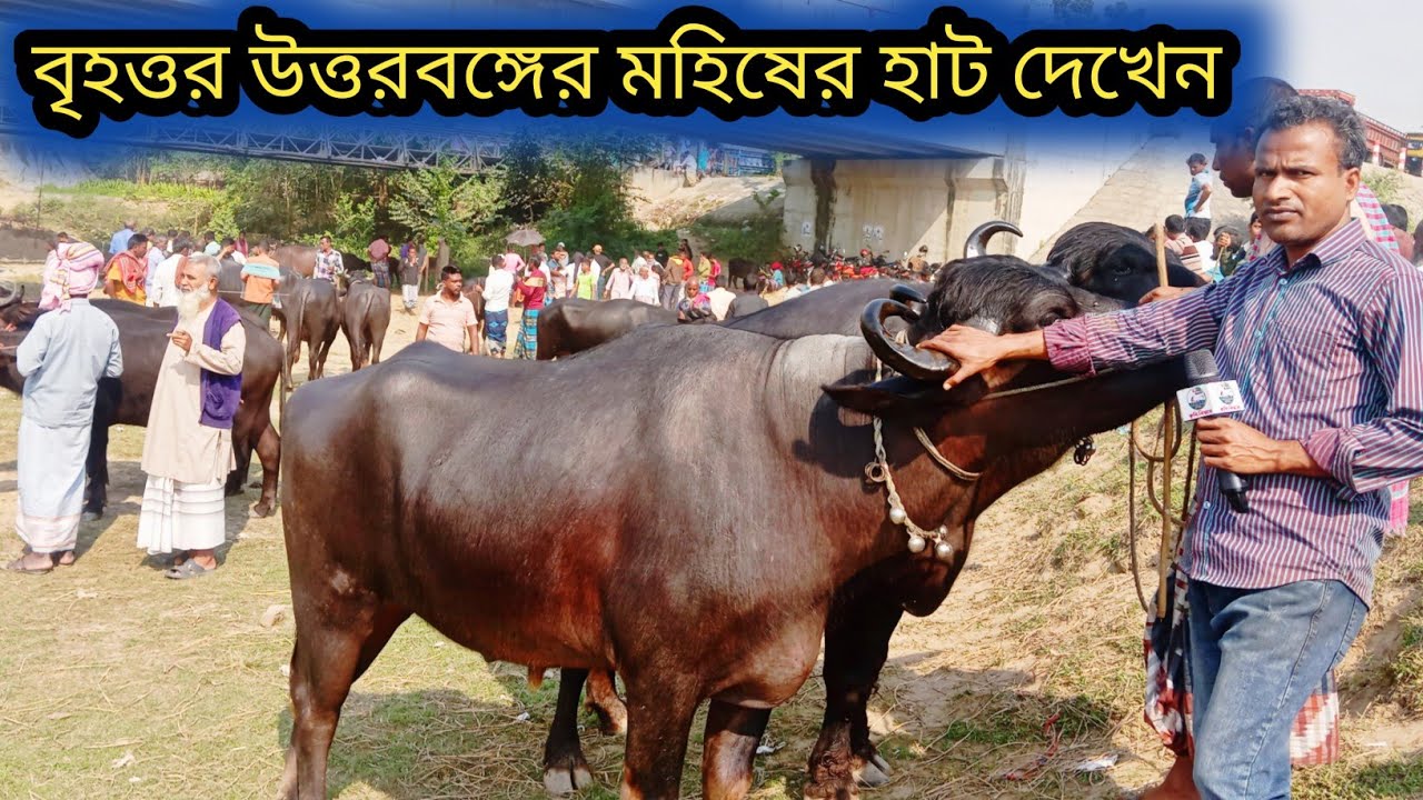 @২২/১১/২৫