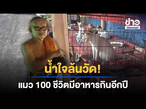 From Not Even One Bag! Kindness Pours In with Over 1 Ton of Cat Food Donations | Workpoint News D...