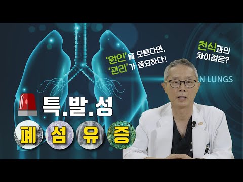 특발성 폐섬유증을 말하다(Idiopathic pulmonary fibrosis)-호흡기내과 어수택