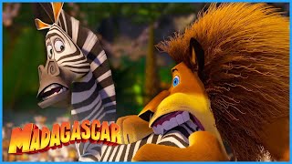 Give Me Fooooood! | DreamWorks Madagascar by DreamWorks Madagascar 30,411 views 1 month ago 3 minutes, 43 seconds