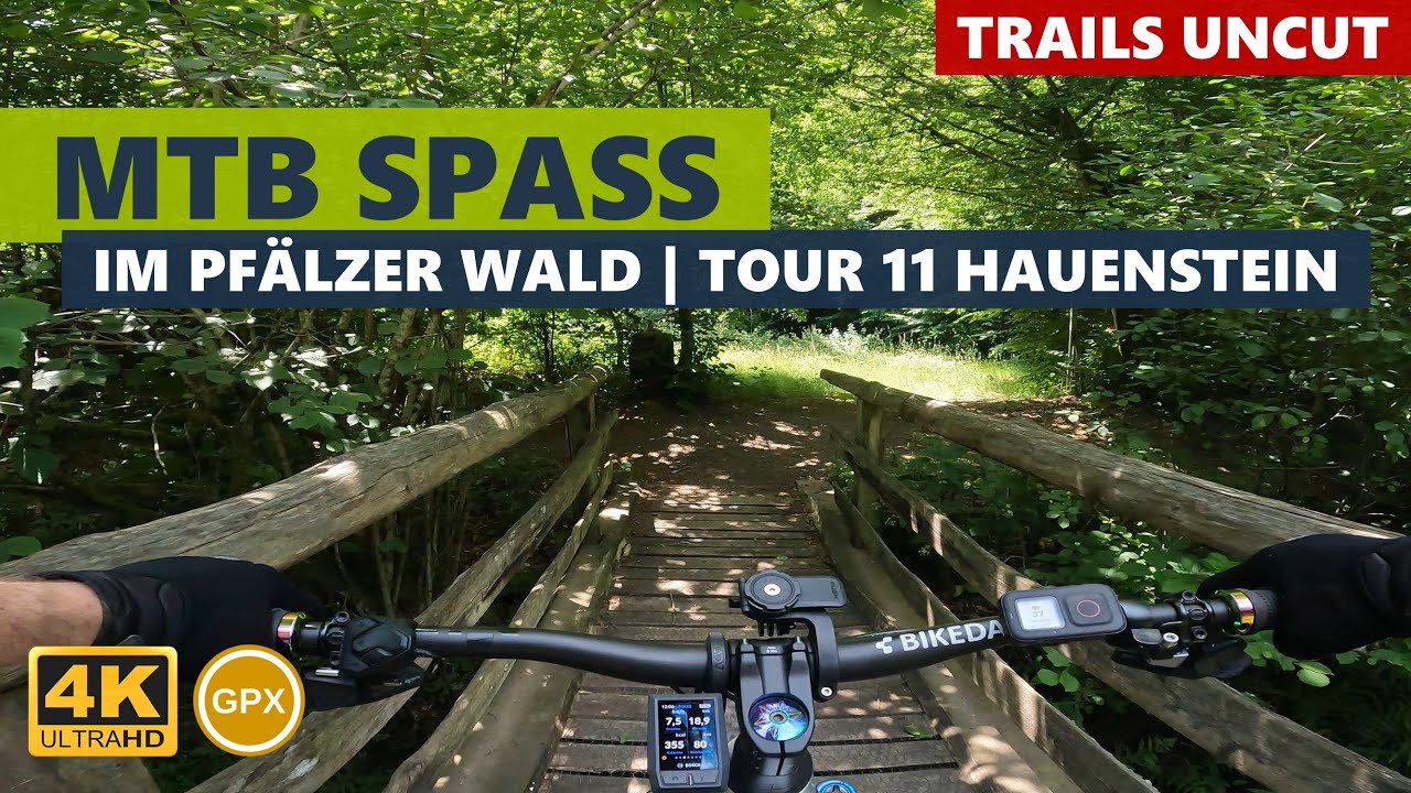Impressionen aus dem Pfälzer Wald | Tour 11 Hauenstein