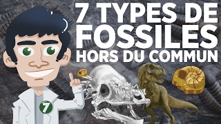 7 types de fossiles hors du commun