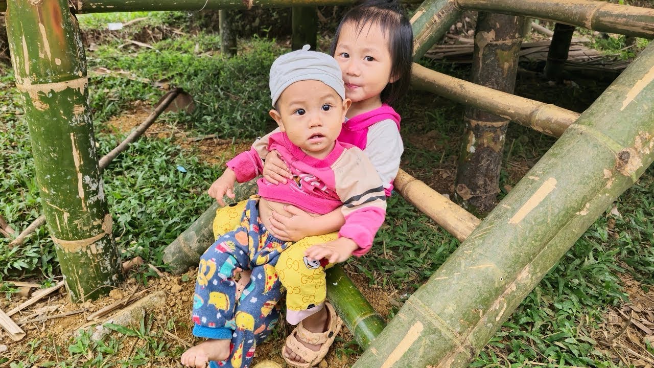 Single Mother Alone Goes Deep Into the Forest to Find Bamboo Shoots ...