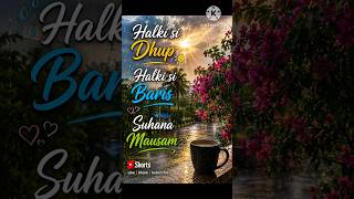 Mausam Mastana❤️ #shorts #video Mausam Mastana❤️ #shorts #video