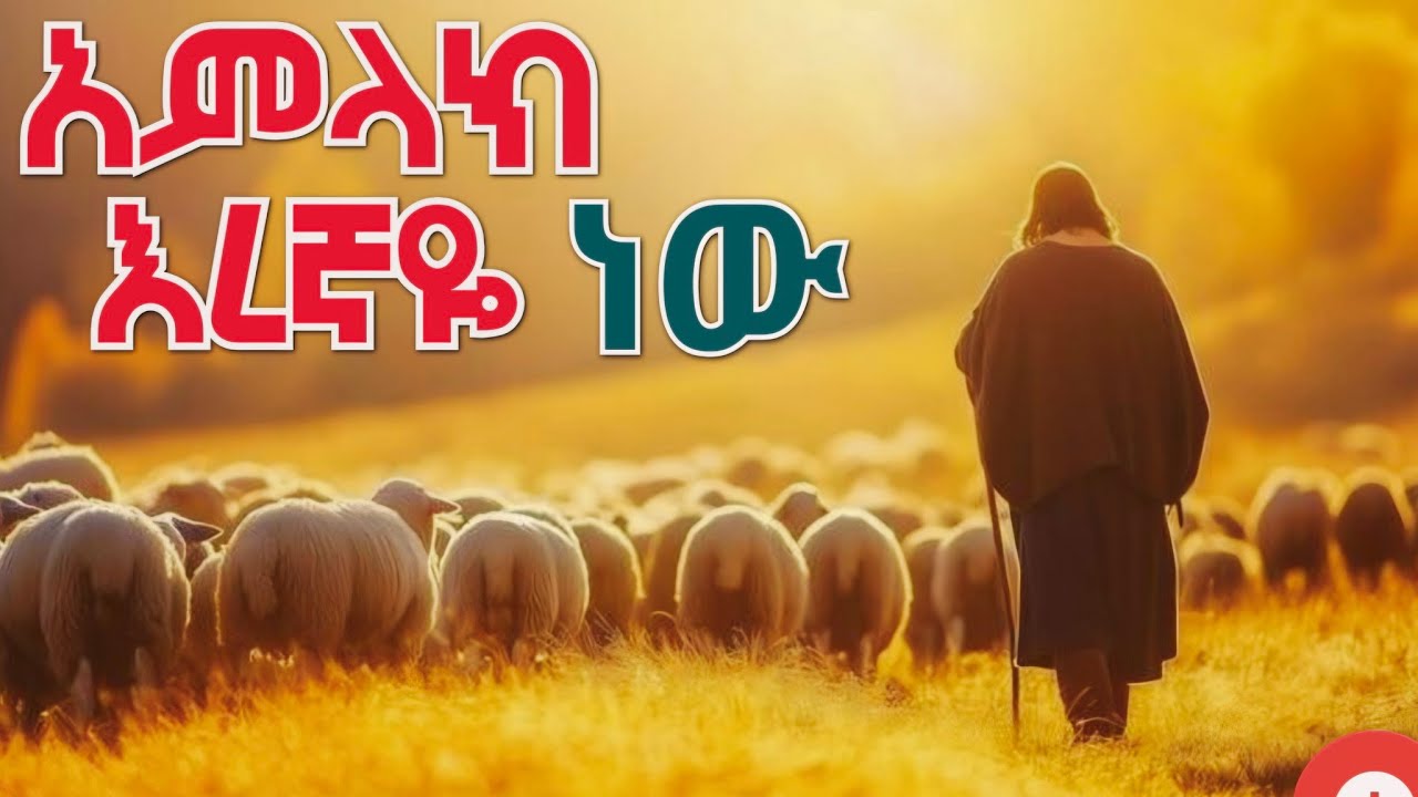 አምላክ እረኛዬ ነው | Ethiopian lijoch sunday school songs | የልጆች መዝሙር 