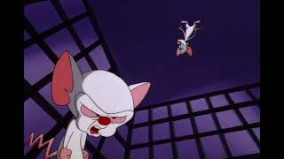 Pinky And The Brain Just Say Narf Music Score