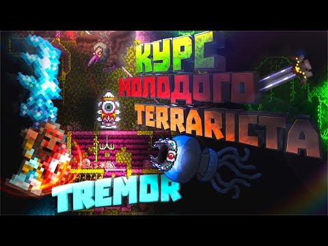 Курс Молодого Terrariста | Tremor Edition | Лучший гайд по террарии | Часть 1