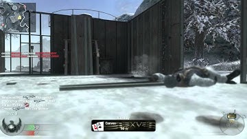 Black Ops: FFA (30-9) on Array - Weird looking Ak47