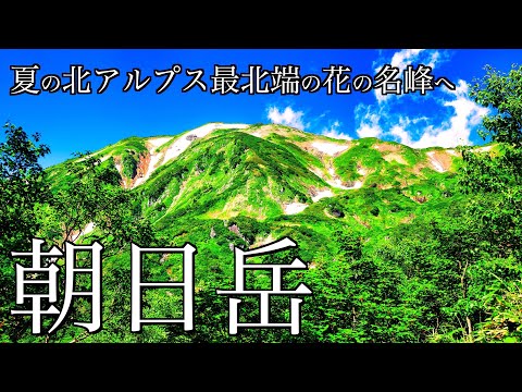 【テント泊登山】花咲く夏の朝日岳｜蓮華温泉から五輪尾根を経て北アルプス最北端の頂へ＜Japan in 4K＞